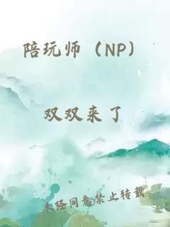 陪玩师（NP）