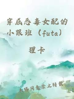 穿成恶毒女配的小跟班（futa）