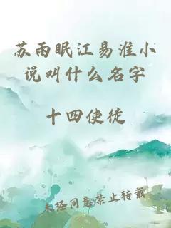 苏雨眠江易淮小说叫什么名字