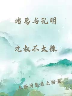 诸葛与孔明