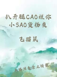 扒开腿CAO烂你小SAO货杨爽