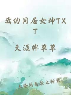 我的同居女神TXT