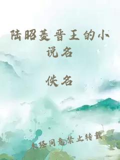 陆昭菱晋王的小说名