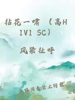 拈花一啸 （高H 1V1 SC）