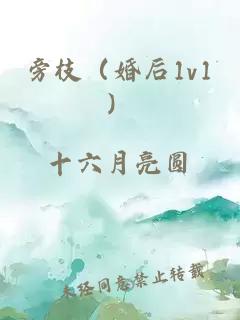 旁枝（婚后1v1）