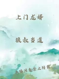 上门龙婿